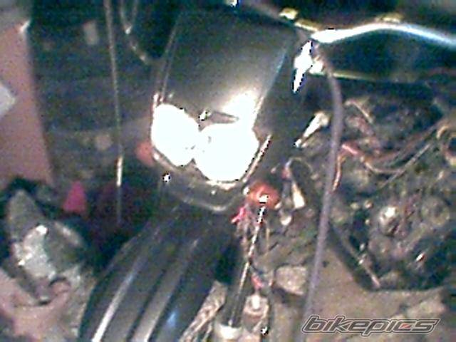 Photo 98903