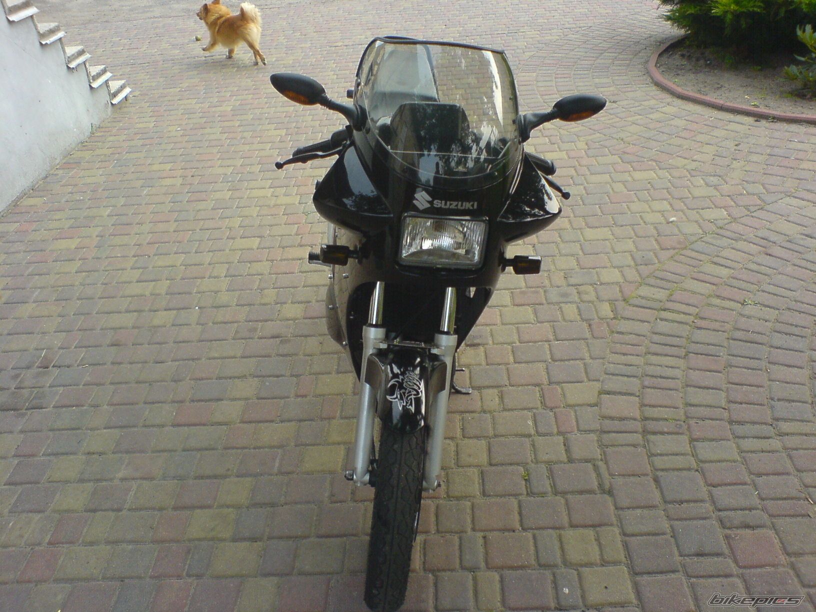 Photo 989112