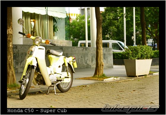 Photo 989150