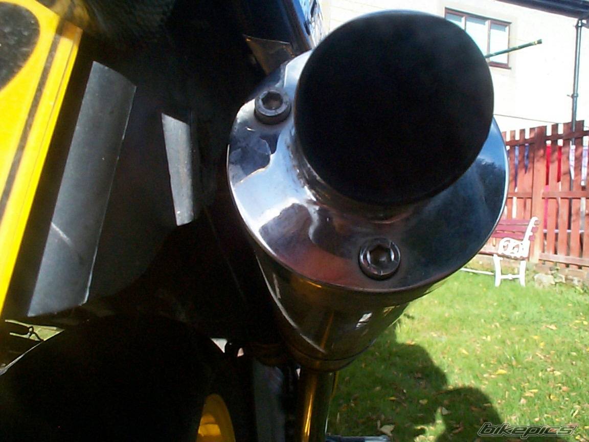 Photo 98919