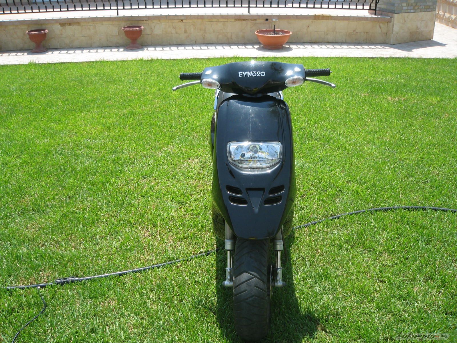 Photo 989262
