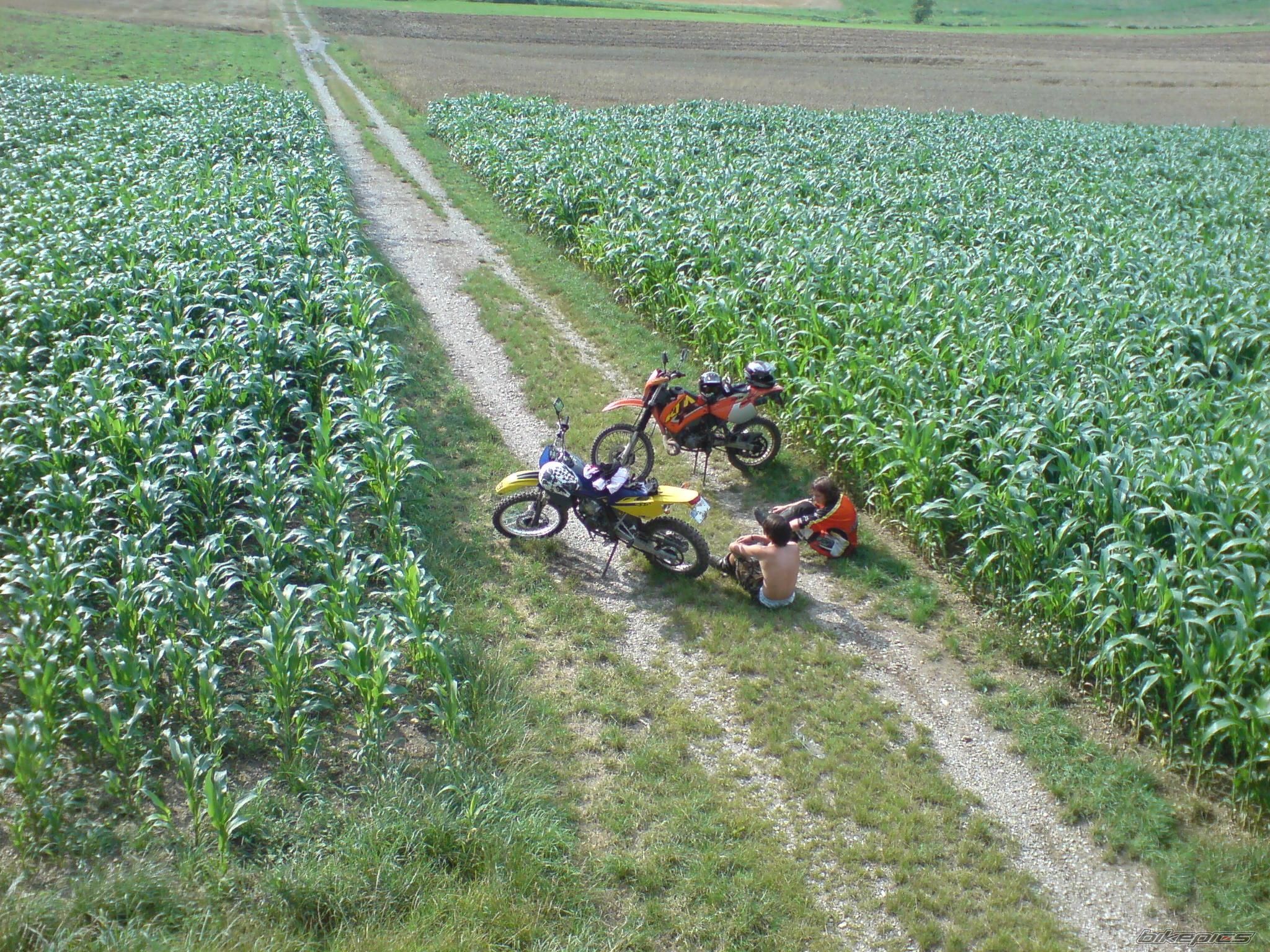 Bike Photo 989277