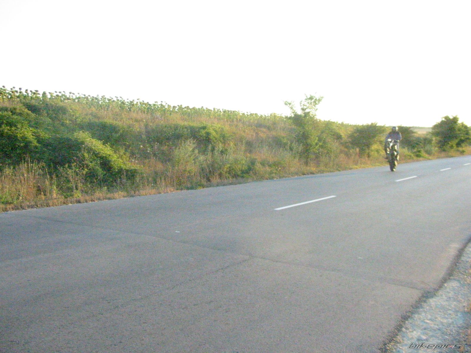 Bike Photo 989688
