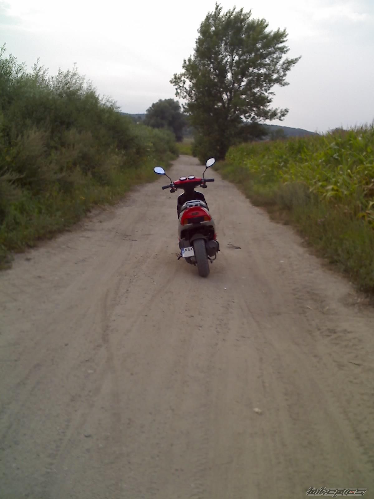 Photo 989704