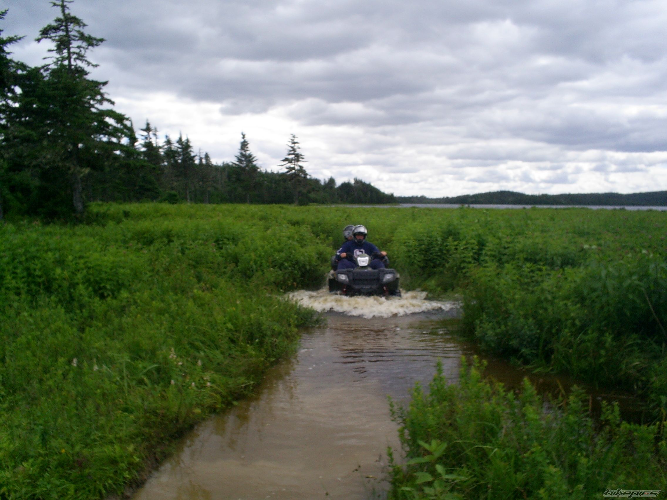 Photo 989831