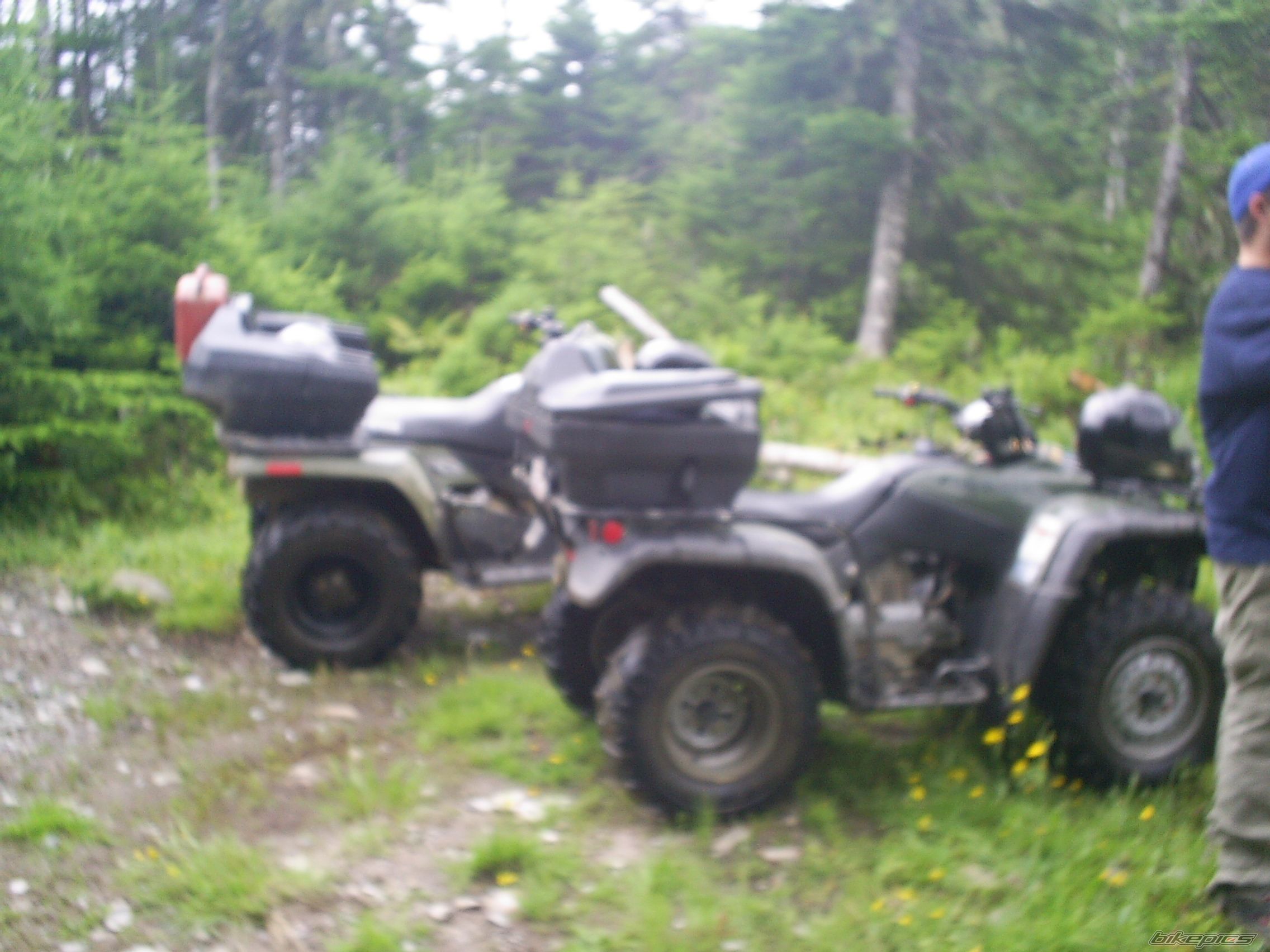 Photo 989835
