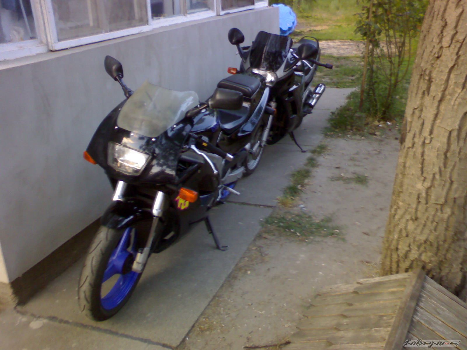 Photo 989865