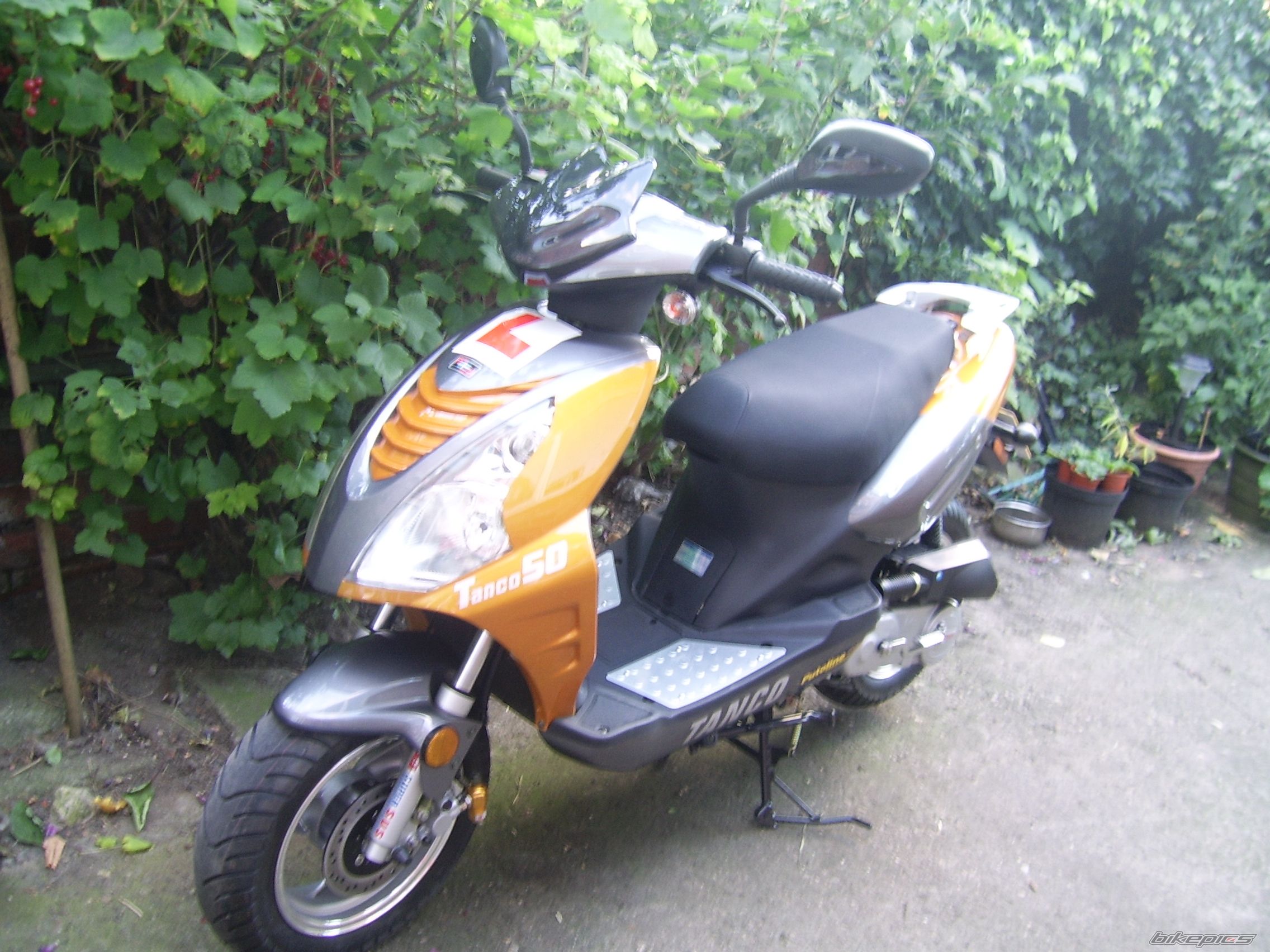 Photo 989925