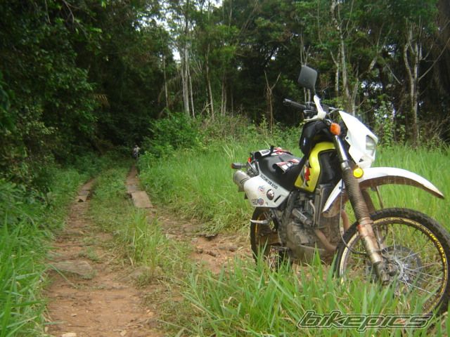 Photo 989934