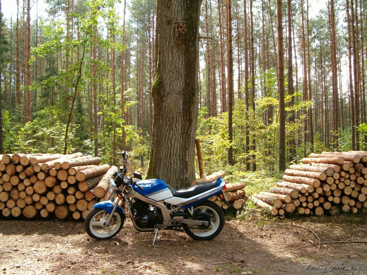 Bike Photo 989936