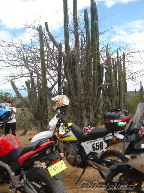 Bike Photo 989979