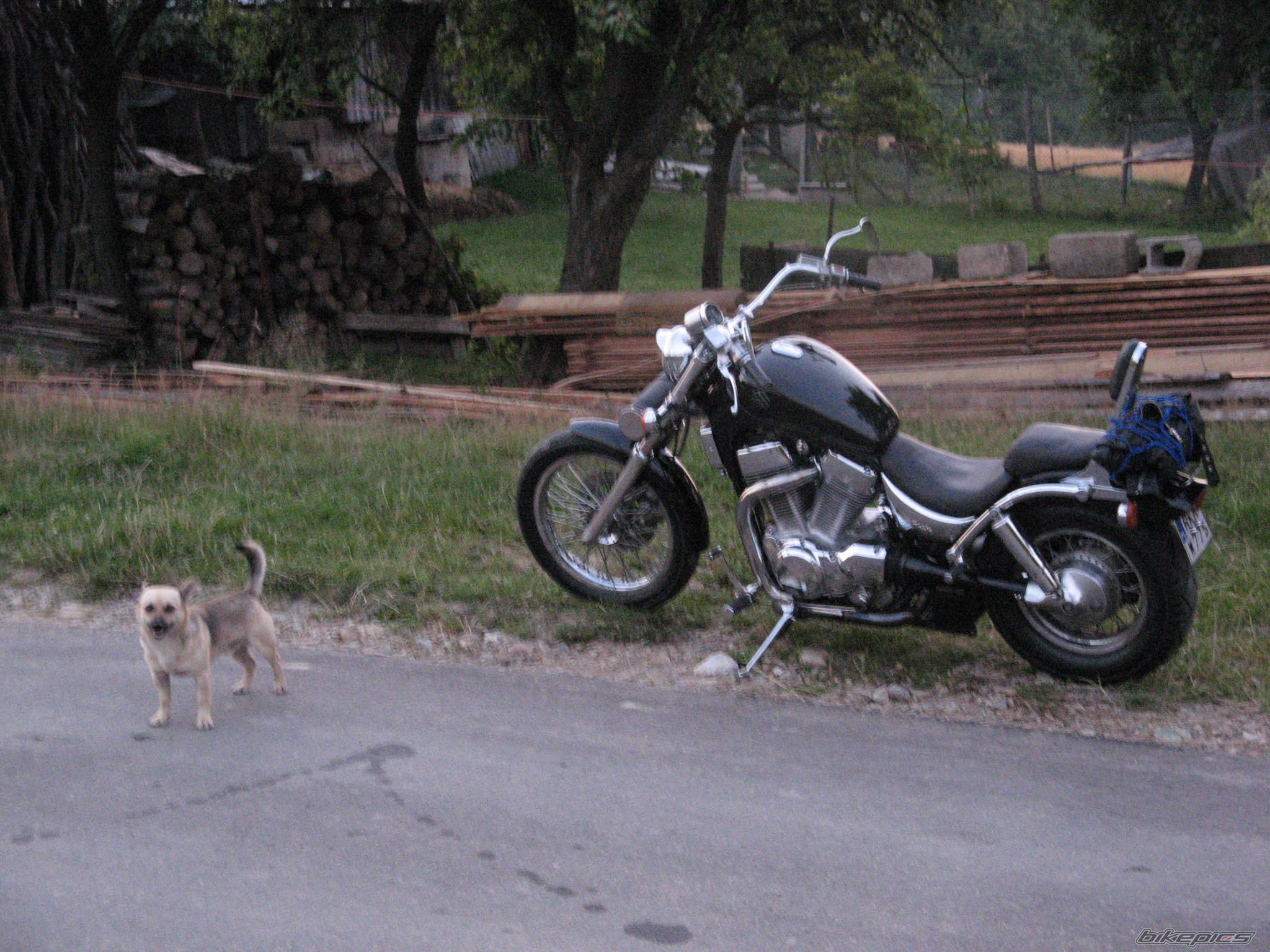 Bike Photo 990032