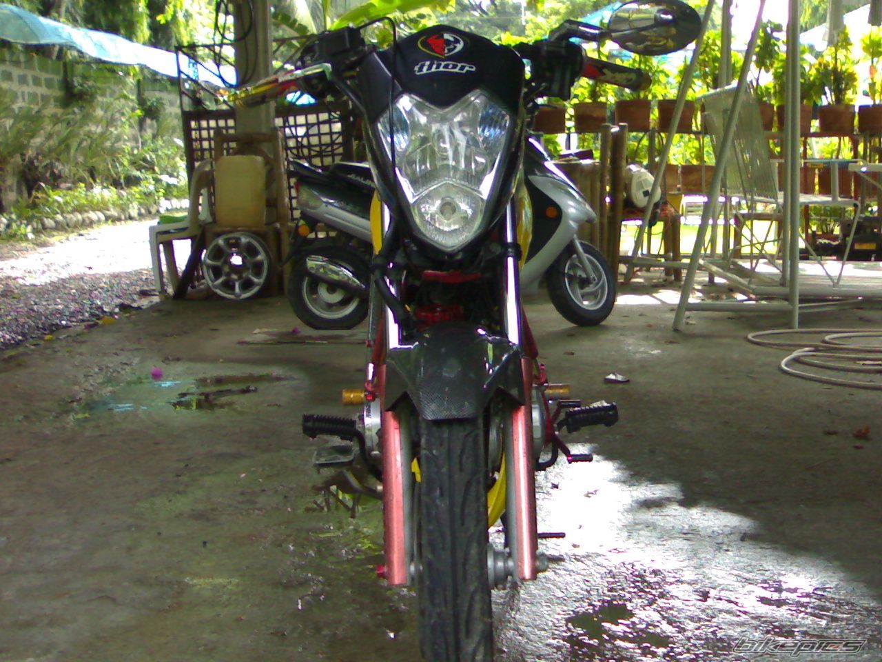 Photo 990072