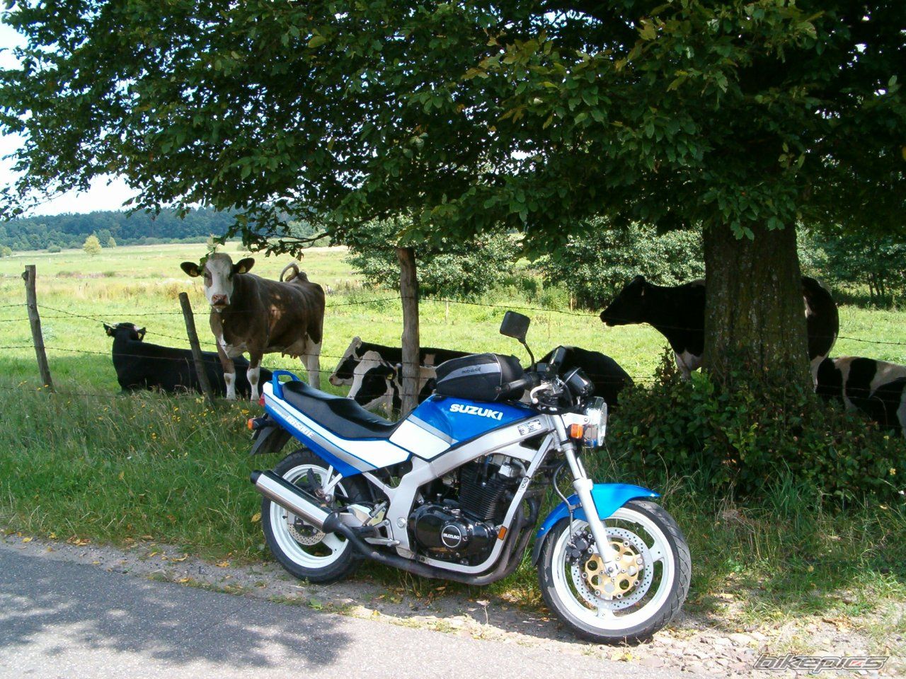 Bike Photo 990102