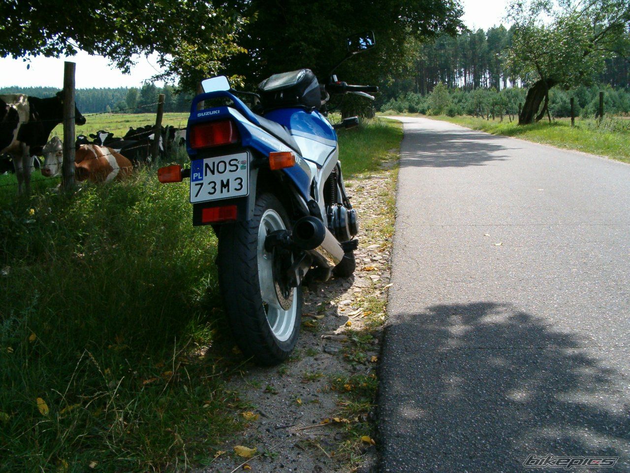 Bike Photo 990104