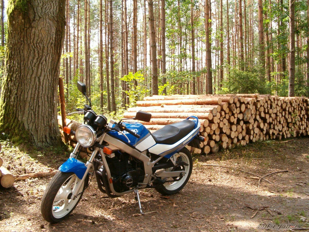 Bike Photo 990108