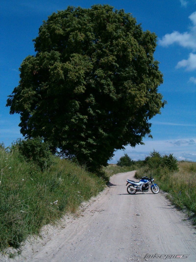 Bike Photo 990115
