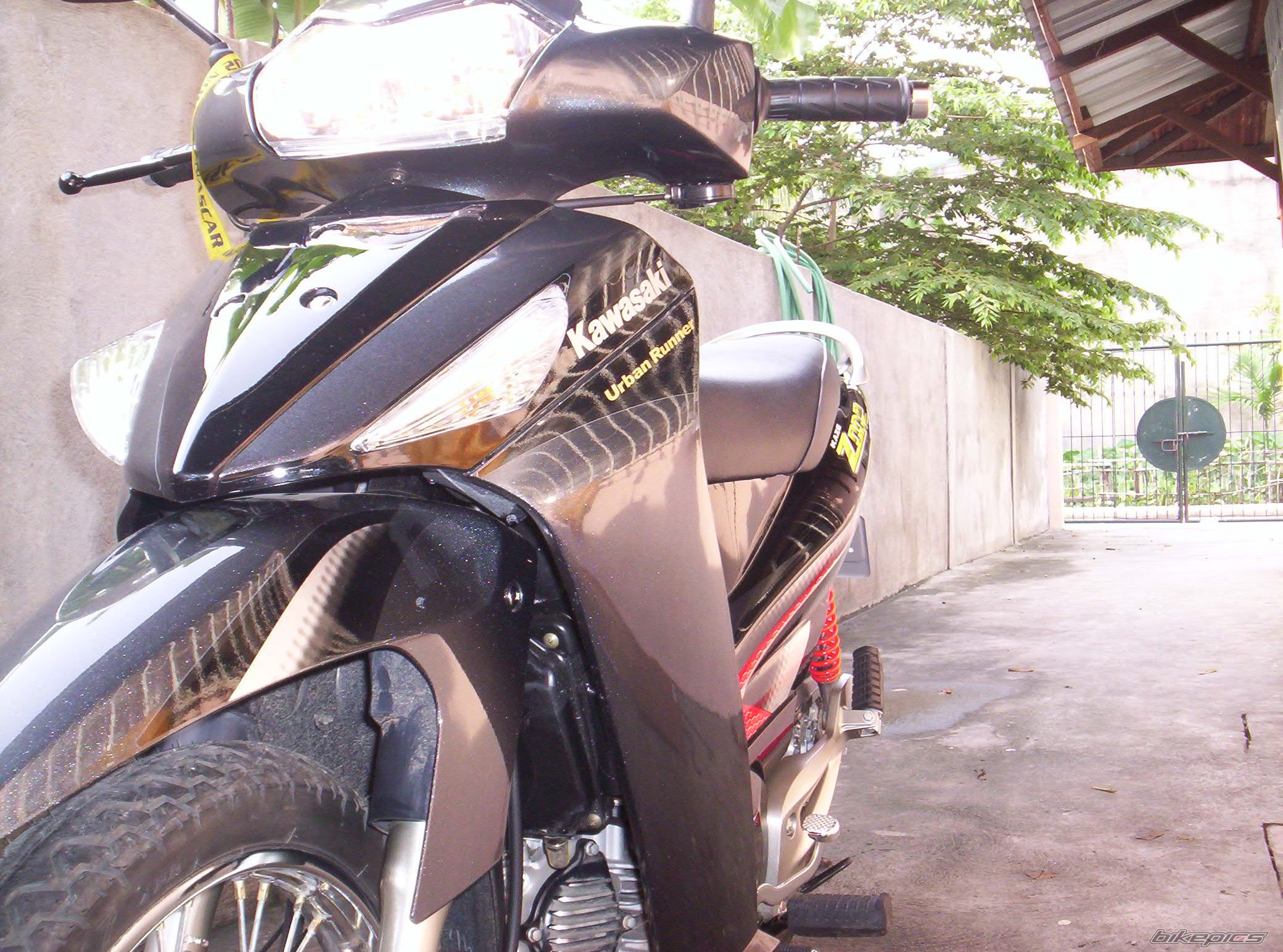 Photo 990159