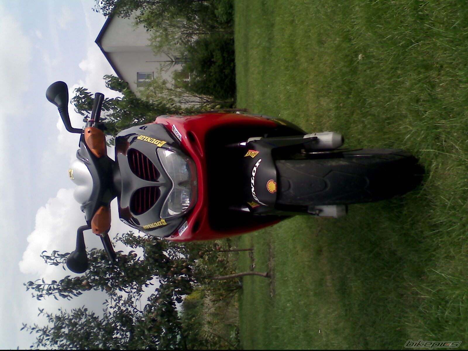 Photo 990229