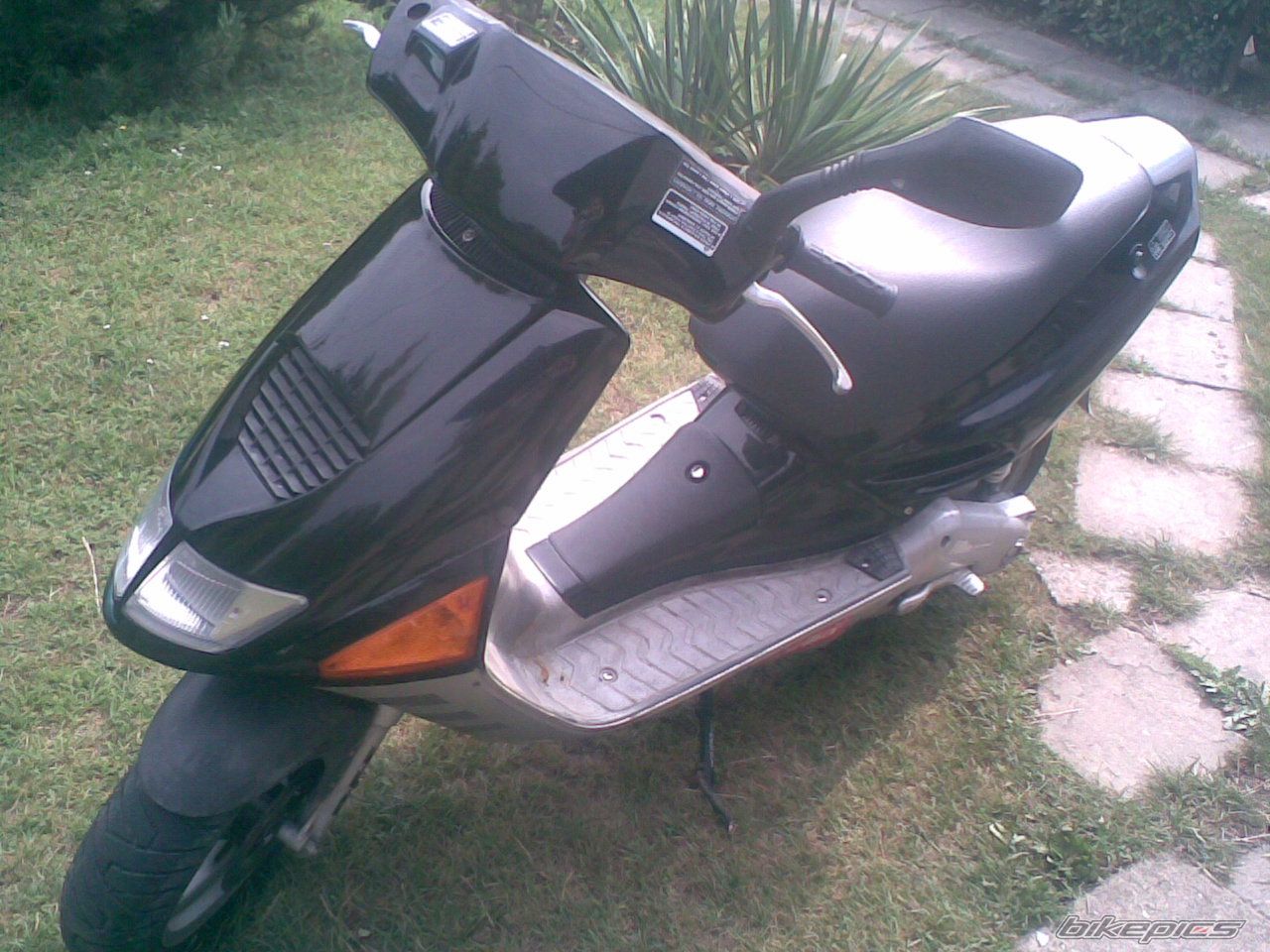 Photo 990324