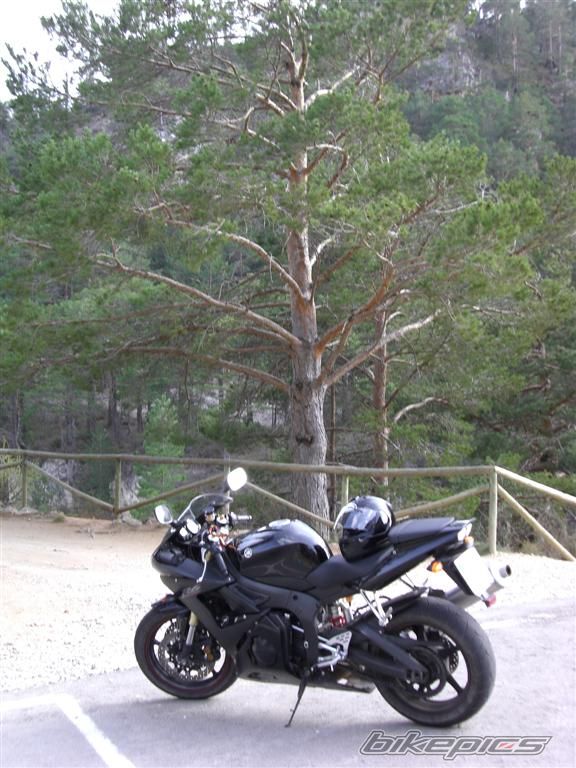 Bike Photo 990337
