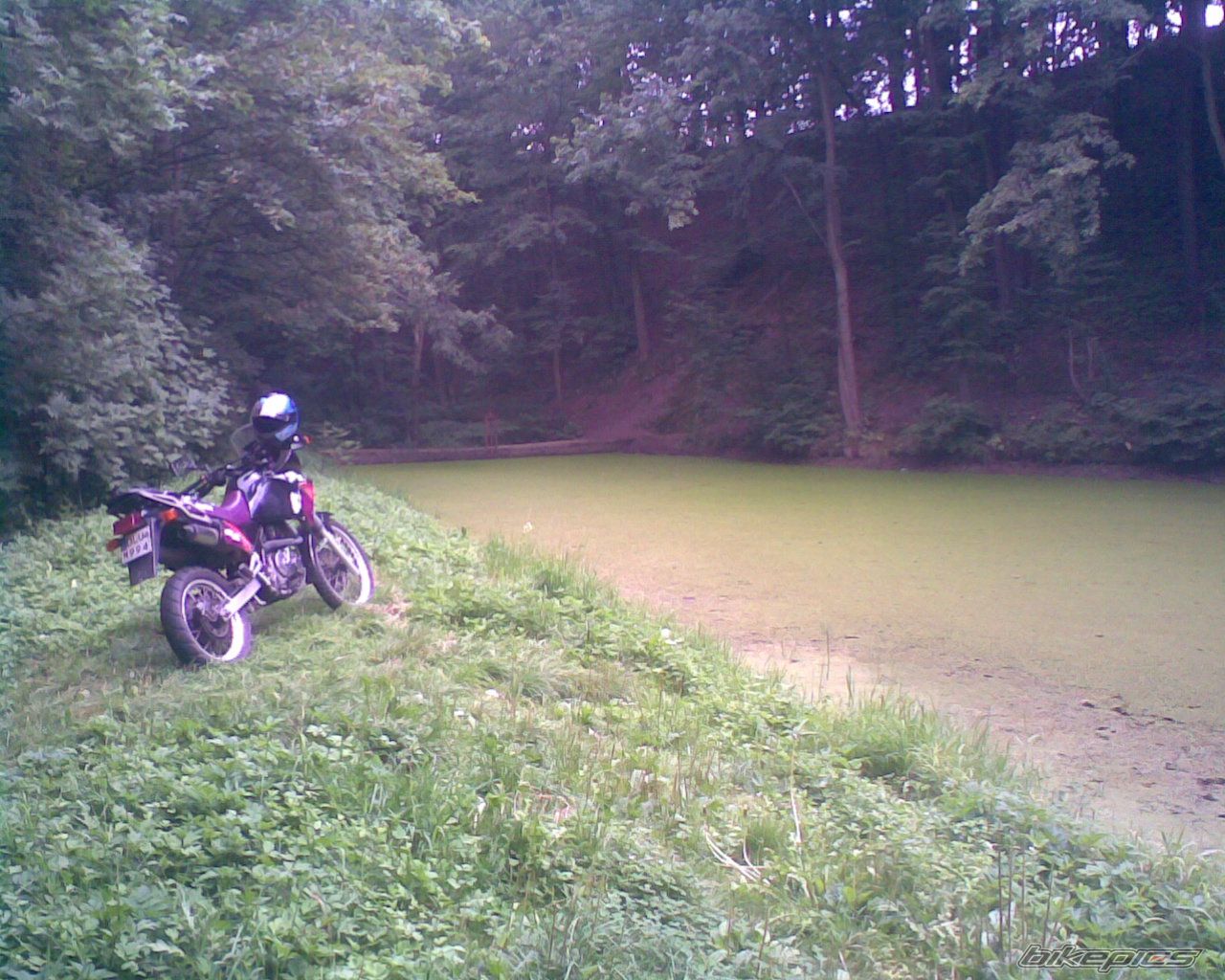 Bike Photo 990366