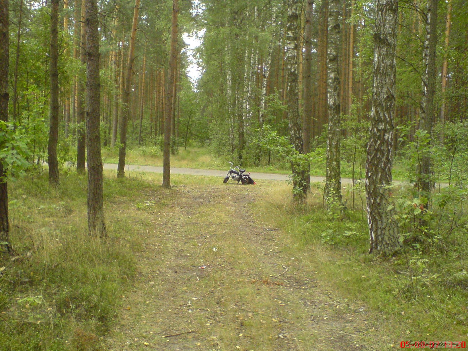 Photo 990375