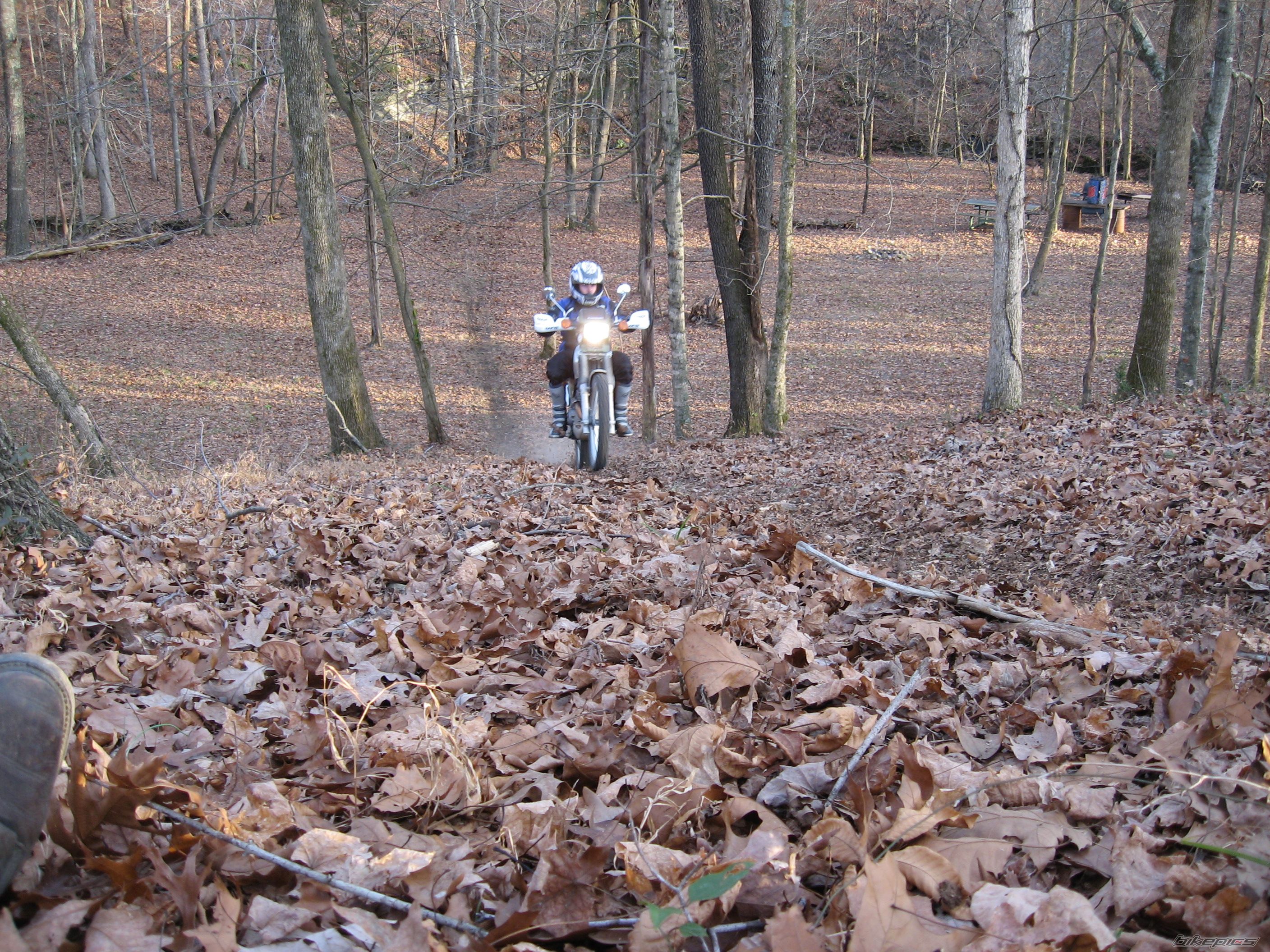 Bike Photo 990417