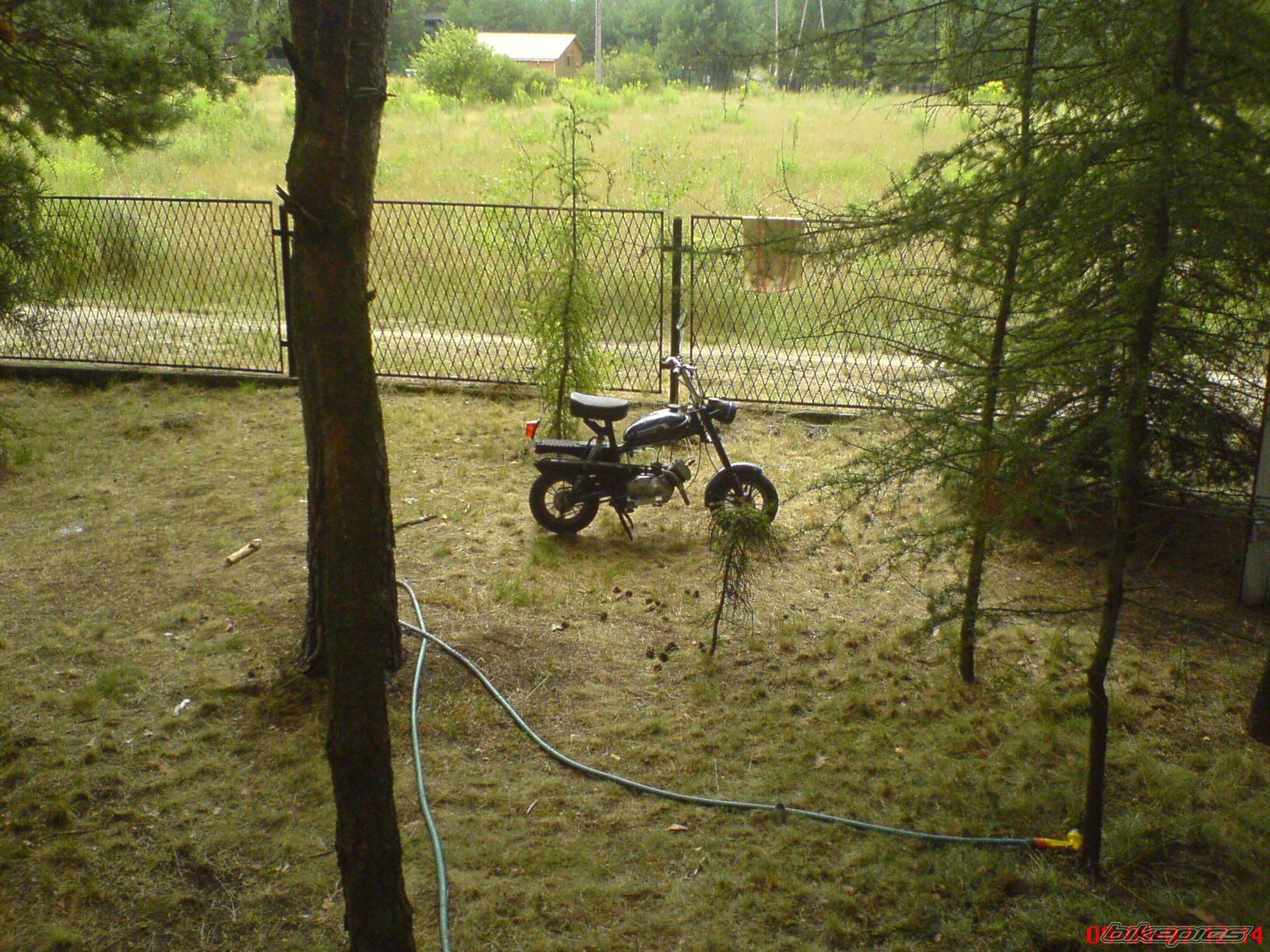 Photo 990469
