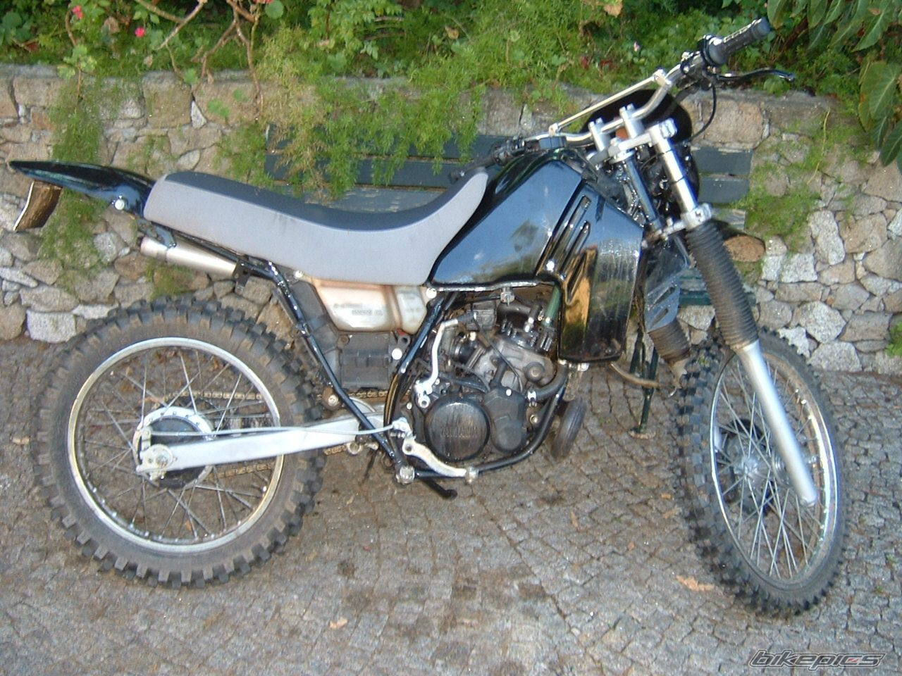 Photo 990686