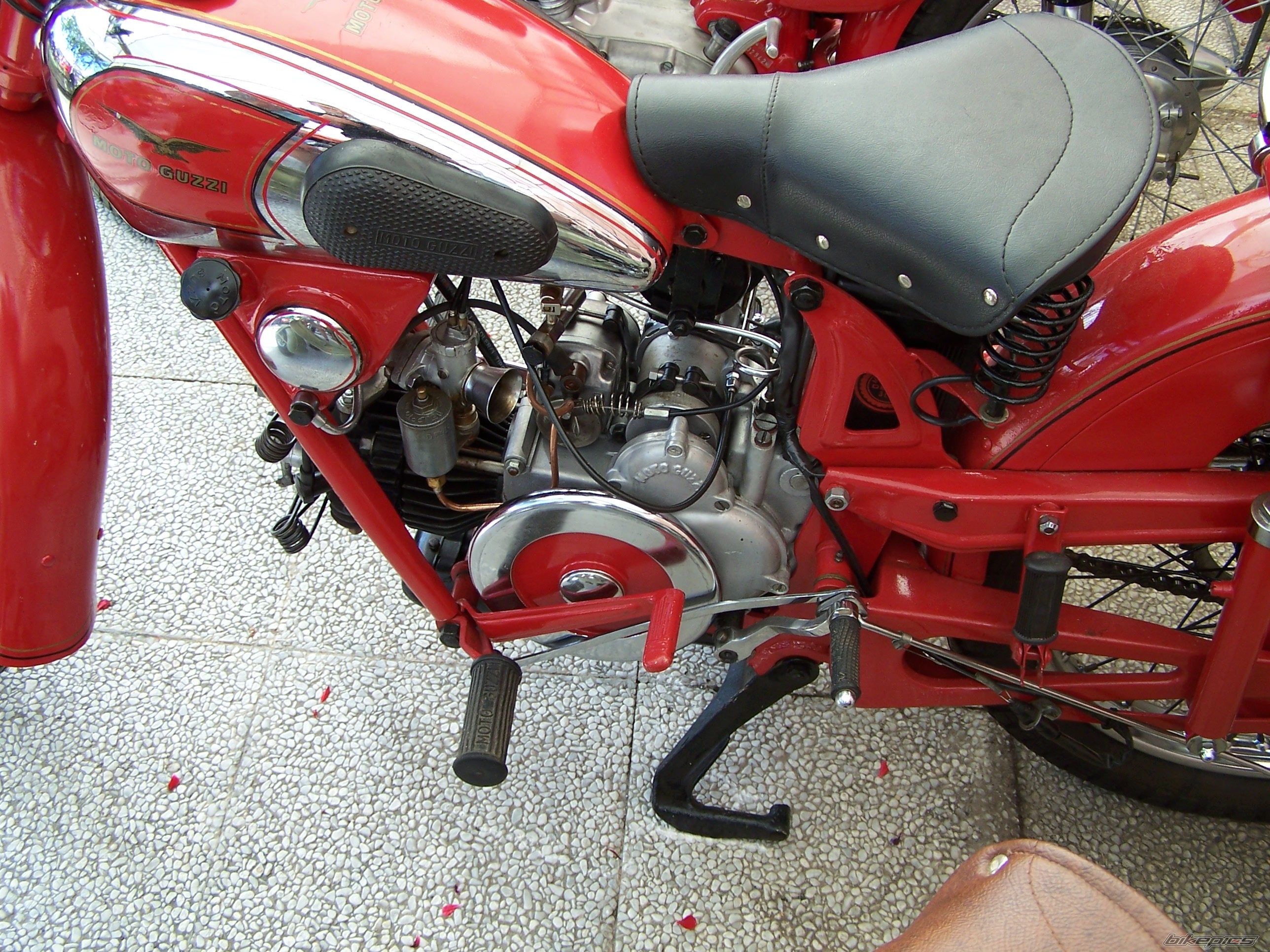 Photo 990804