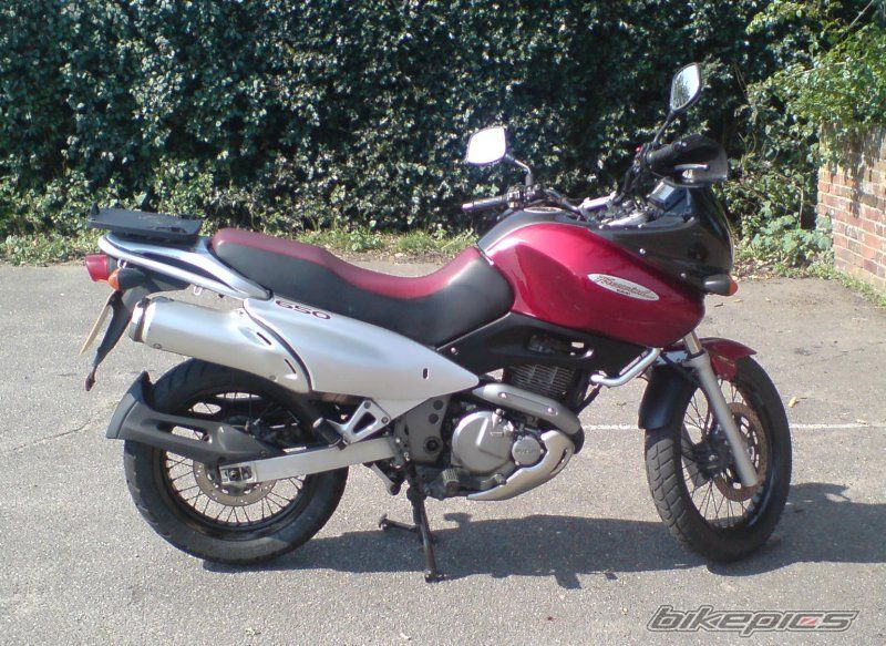 Photo 990894
