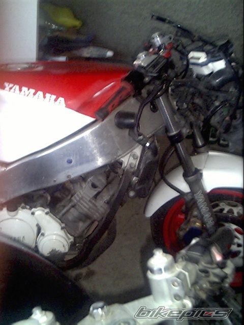 Photo 990916