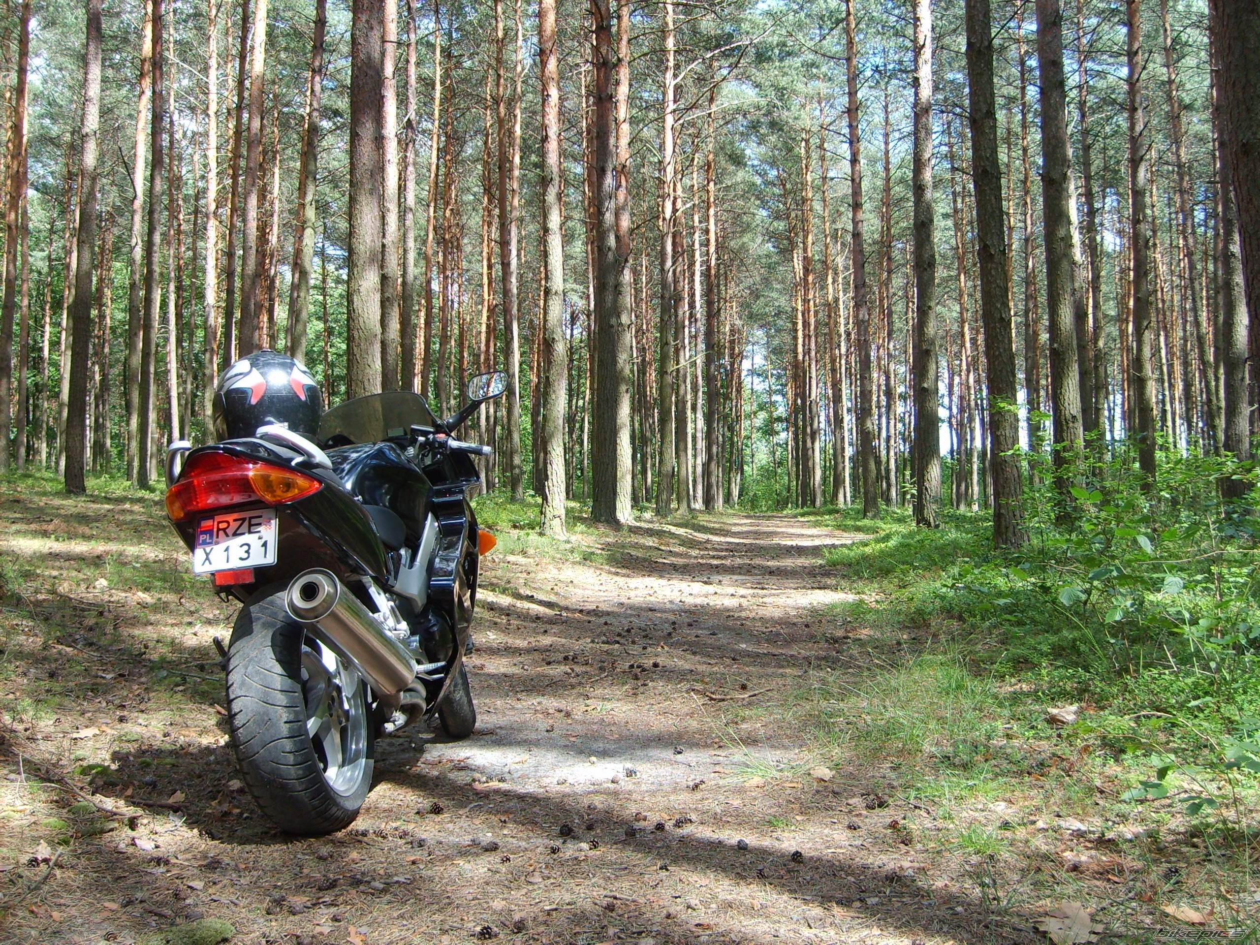 Bike Photo 990978