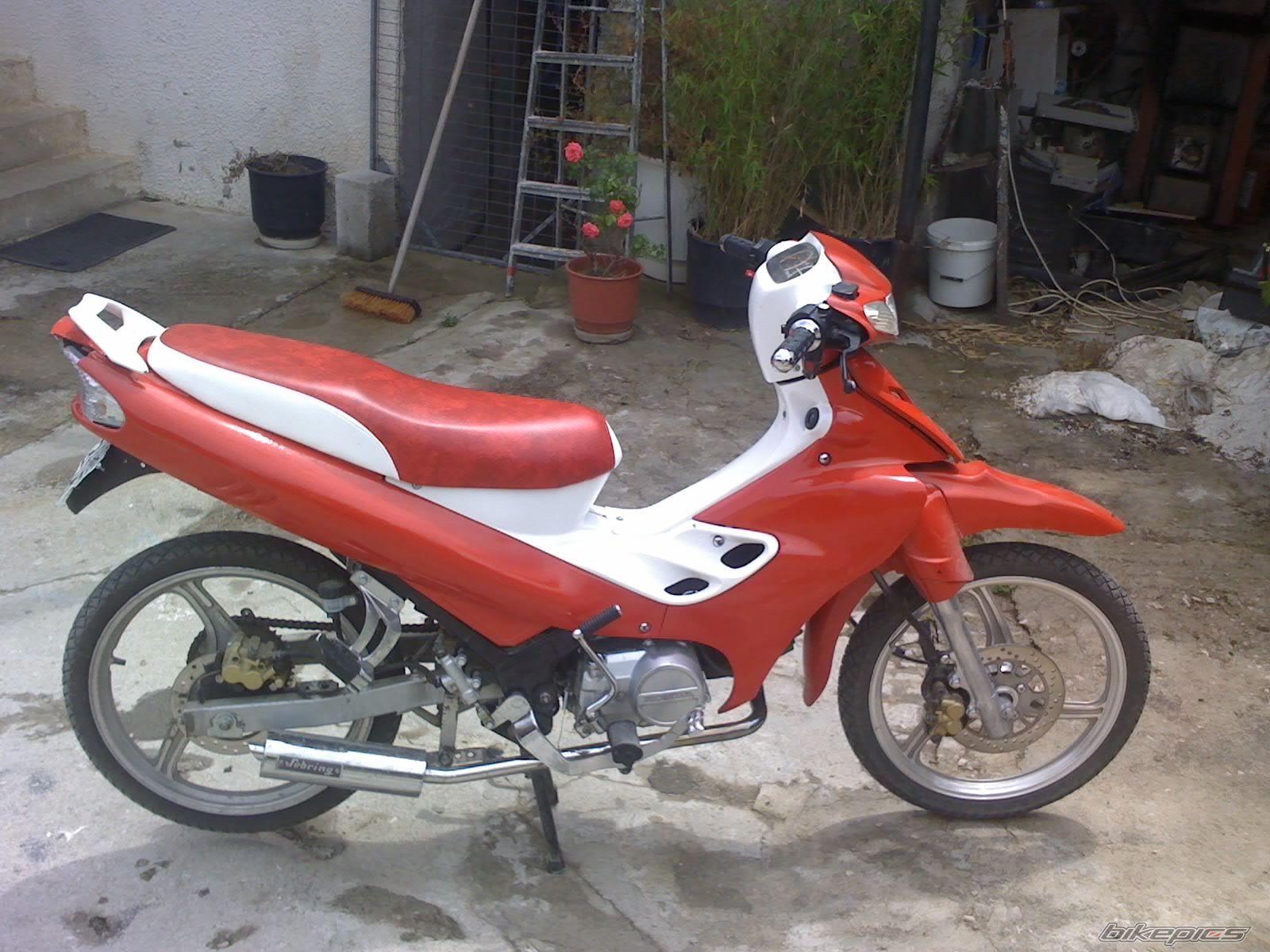Photo 991068