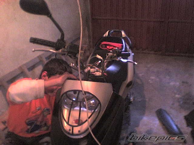 Photo 991379