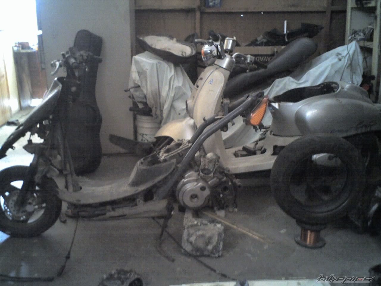Photo 991772