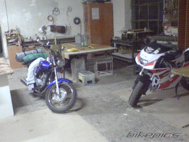 Photo 991849