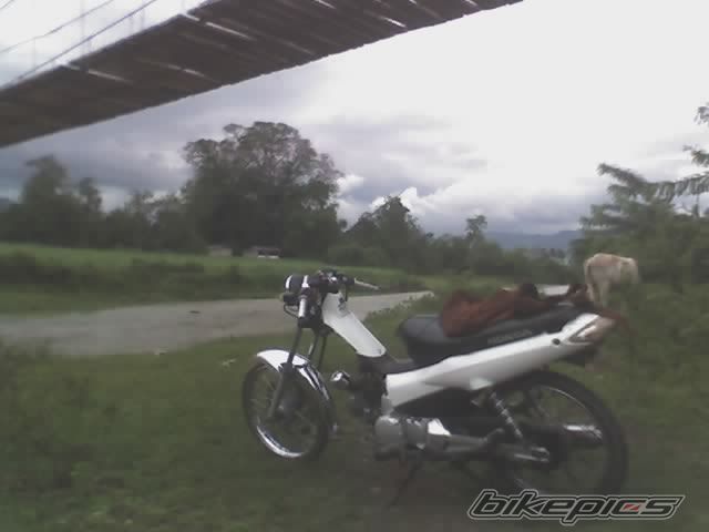 Photo 991964