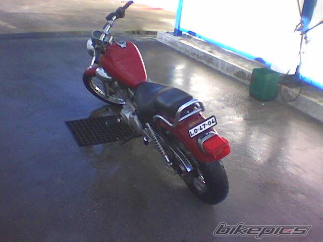 Photo 99198