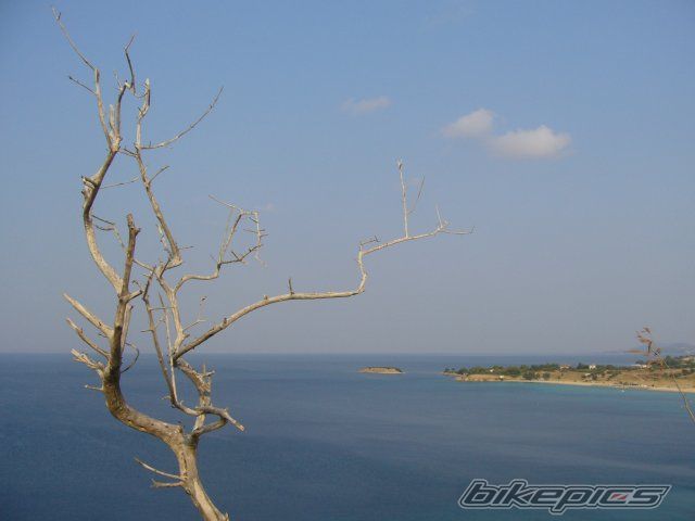 Photo 992061