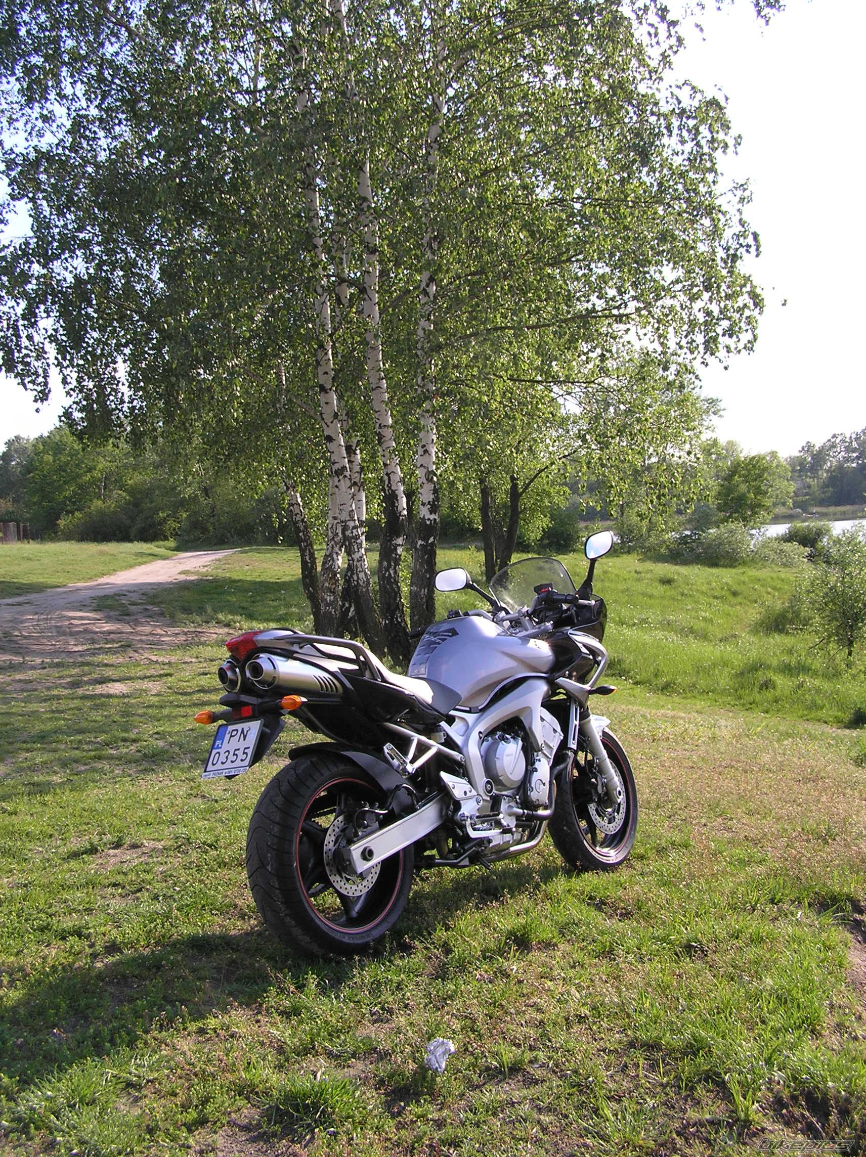 Photo 992242