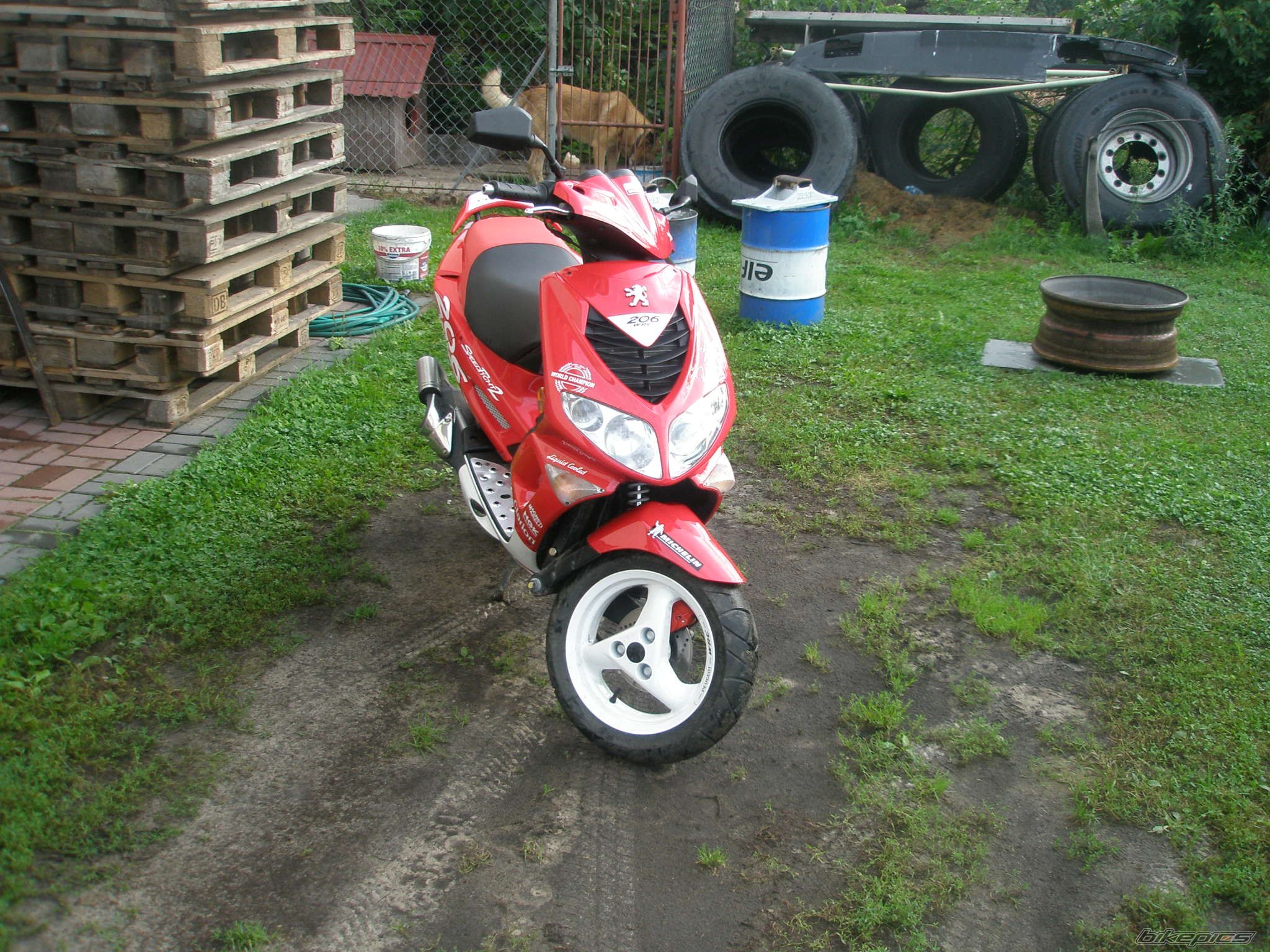 Photo 992291