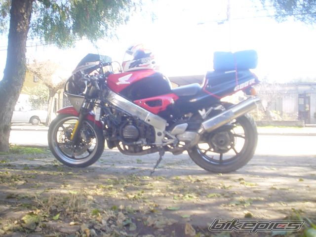 Photo 992617