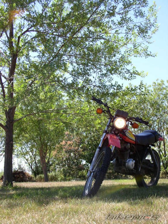Photo 992748