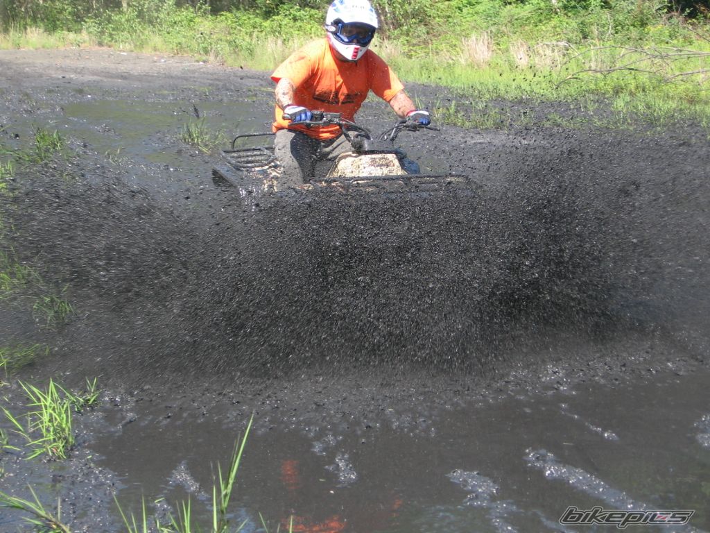 Photo 993098