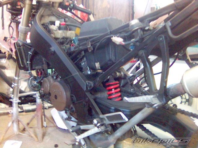 Photo 993173