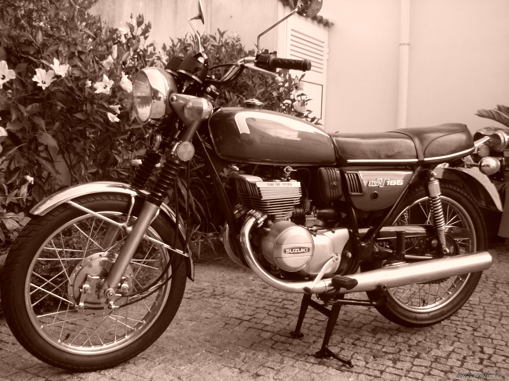Photo 993208