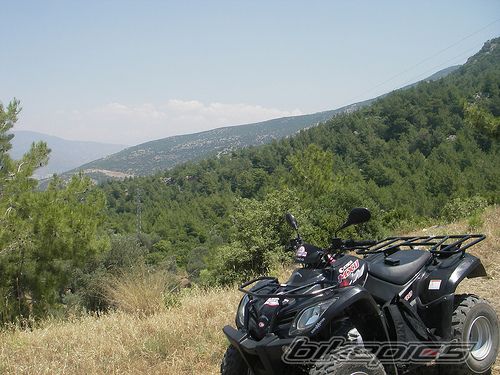 Photo 993210