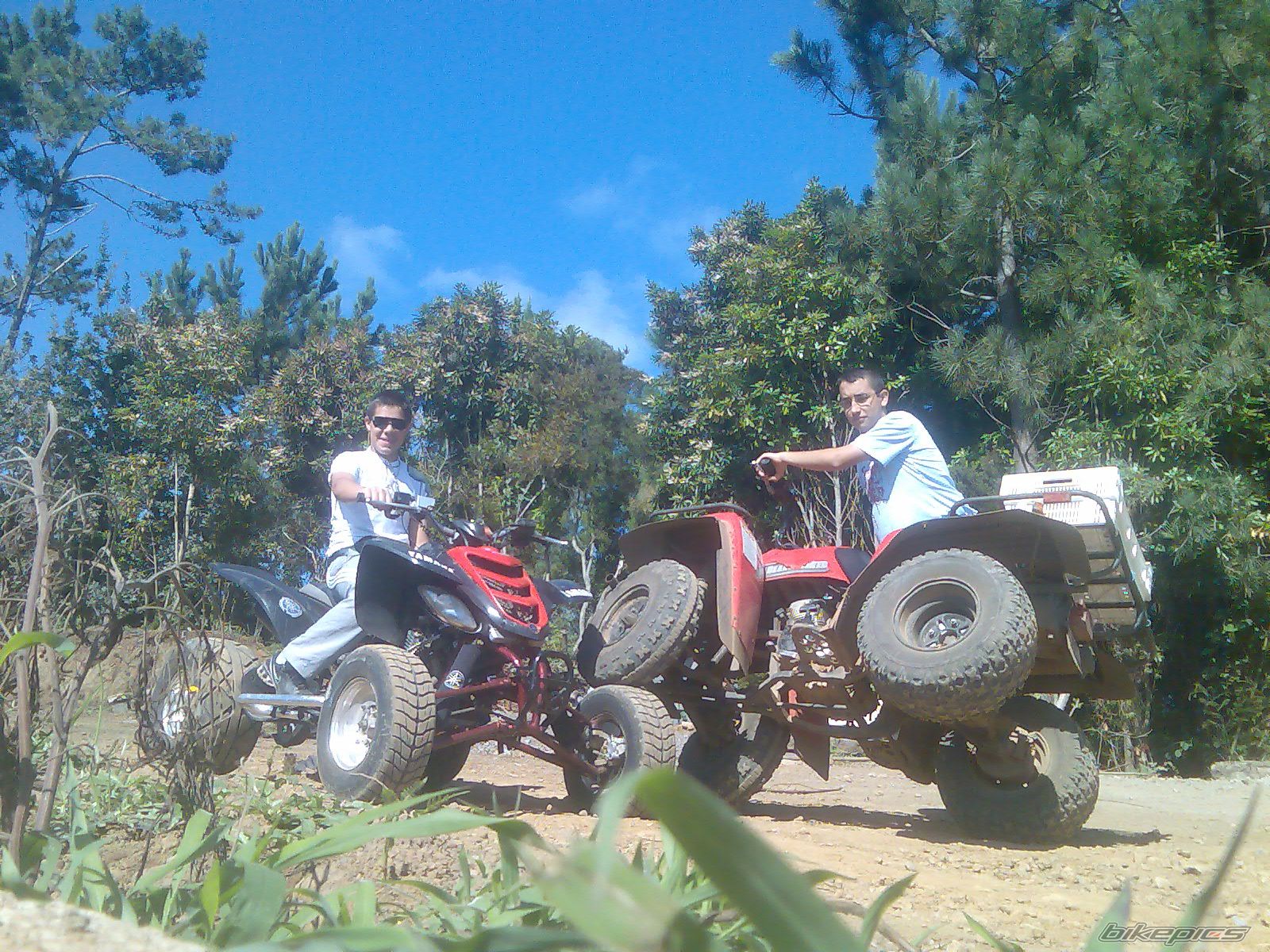 Photo 993230
